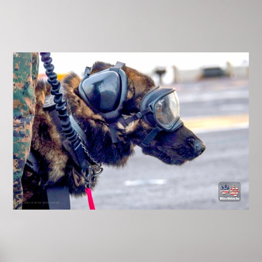 US MILITAIRE WERKDOG POSTER (Voorkant)