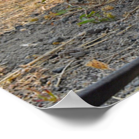 US MILITAIRE WERKDOG POSTER (Hoek)