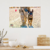 US MILITAIRE WERKDOG POSTER (Keuken)