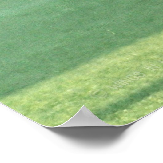 US MILITAIRE WERKDOG POSTER (Hoek)