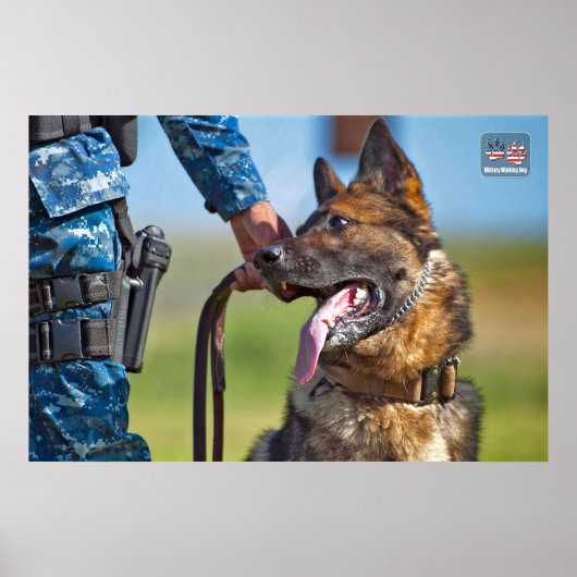 US MILITAIRE WERKDOG POSTER (Voorkant)