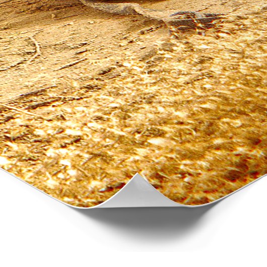 US MILITAIRE WERKDOG POSTER (Hoek)