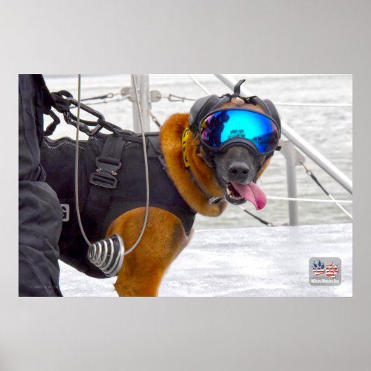 US MILITAIRE WERKDOG POSTER (Voorkant)
