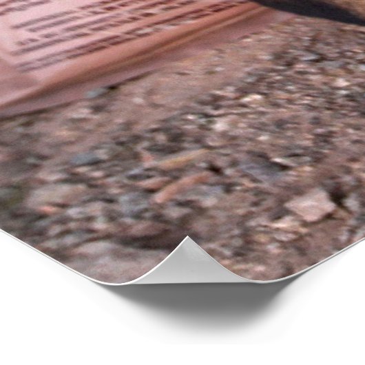 US MILITAIRE WERKDOG POSTER (Hoek)