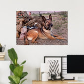 US MILITAIRE WERKDOG POSTER (Thuiskantoor)