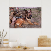 US MILITAIRE WERKDOG POSTER (Keuken)