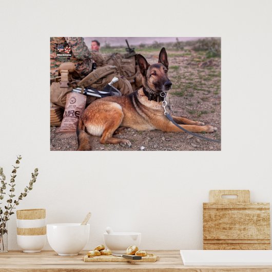 US MILITAIRE WERKDOG POSTER (Keuken)