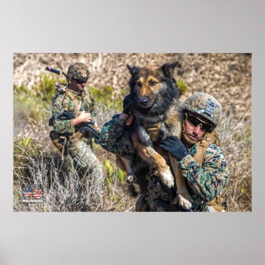 US MILITAIRE WERKDOG POSTER (Voorkant)