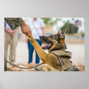 US MILITAIRE WERKDOG POSTER