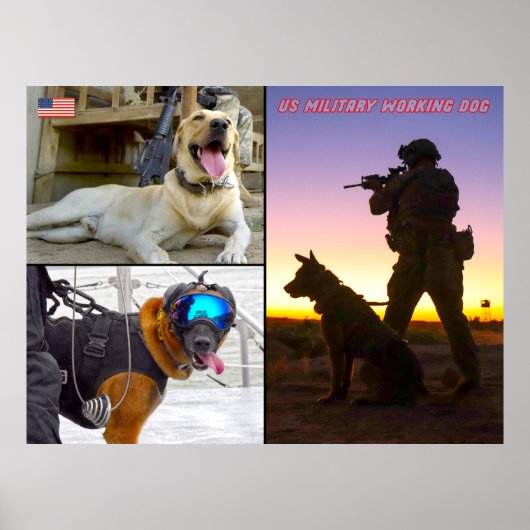 US MILITAIRE WERKDOG POSTER (Voorkant)