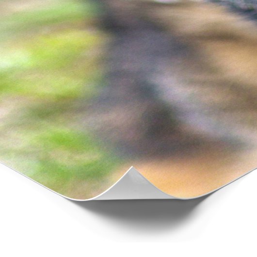 US MILITAIRE WERKDOG POSTER (Hoek)