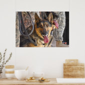 US MILITAIRE WERKDOG POSTER (Keuken)
