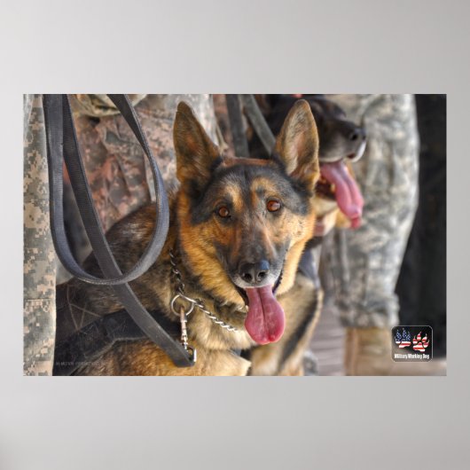 US MILITAIRE WERKDOG POSTER (Voorkant)
