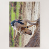 US MILITAIRE WERKENDE HOND (20x30 inch) Legpuzzel (Verticaal)