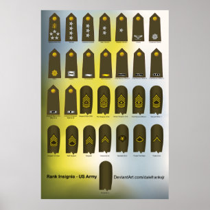 US Military Uniform Rank Insignia Army Poster