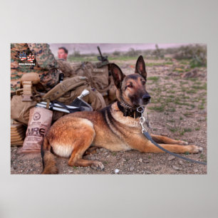 US MILITARY WORKING DOG POSTER