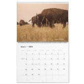 US National Parks Kalender (Mar 2026)