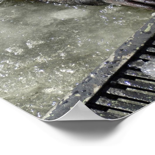 US Navy Diver Poster (Hoek)