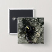 US Navy Diver Vierkante Button 5,1 Cm (Voorkant /achterkant)