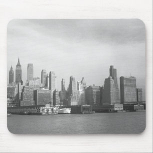 US New York State New York City skyline Muismat