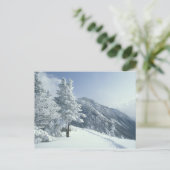 US, NH, met sneeuw bedekte bomen Trails Snoeshoe Briefkaart (Staand voorkant)