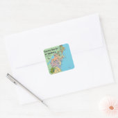 US Noordoost-Amerikaanse kaart Vierkante Sticker (Envelop)