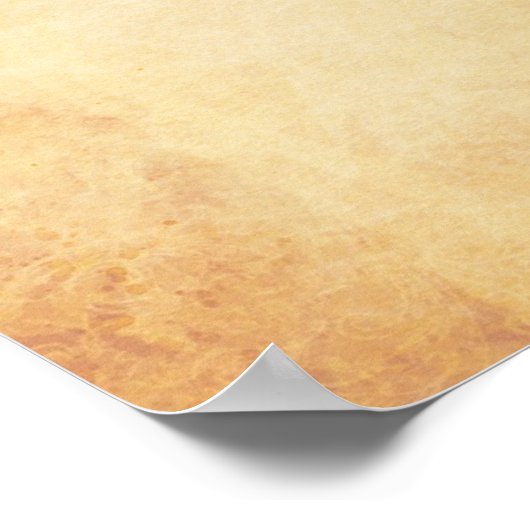 US Patent - Drum Pedal Poster (Hoek)