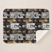 US Presidenten plus Hamilton en Franklin History Sherpa Deken (Voorkant (horizontaal))