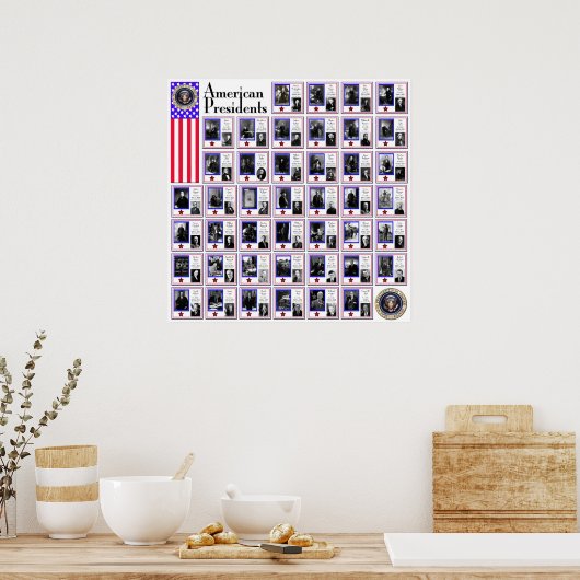 US PRESIDENTEN WHITE A/564 POSTER (Keuken)