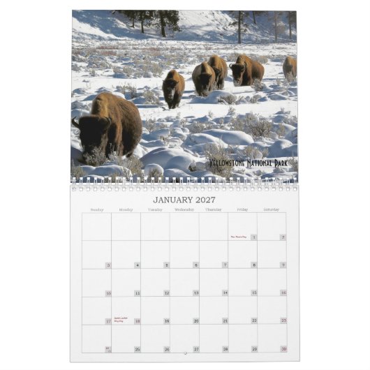 US Public Lands Wildlife Calendar 2019 Kalender (Jan 2027)