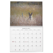 US Public Lands Wildlife Calendar 2019 Kalender (Mar 2027)