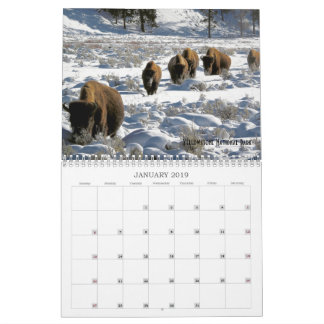 US Public Lands Wildlife Calendar 2019 Kalender