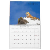 US Public Lands Wildlife Calendar 2019 Kalender (Feb 2026)