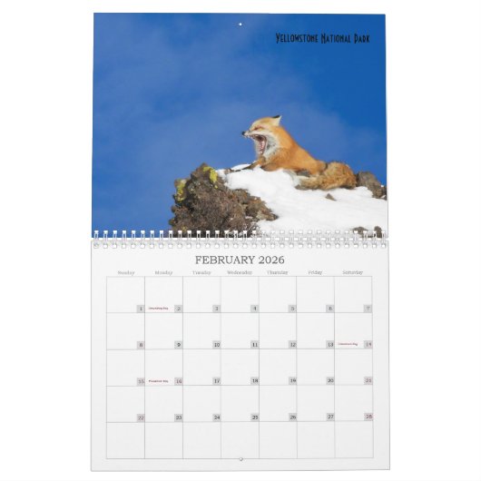 US Public Lands Wildlife Calendar 2019 Kalender (Feb 2026)