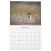 US Public Lands Wildlife Calendar 2019 Kalender (Mar 2026)