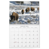 US Public Lands Wildlife Calendar 2019 Kalender (Jan 2026)