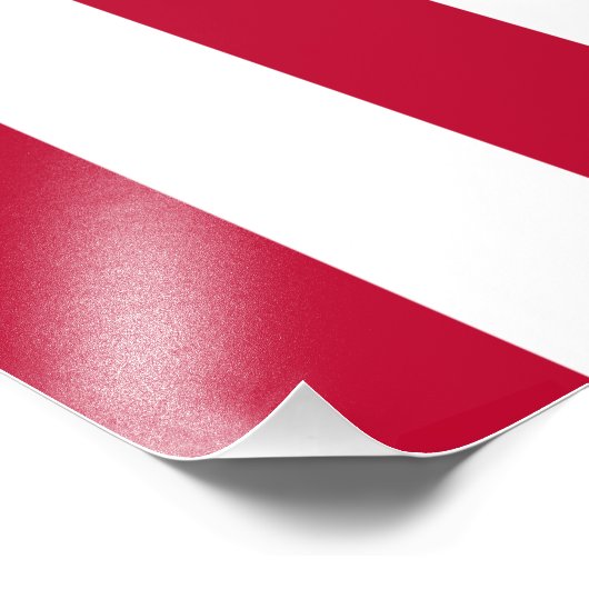 US Sons of Liberty 9 Stripes Flag Foto Afdruk (Hoek)