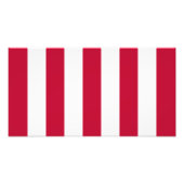 US Sons of Liberty 9 Stripes Flag Foto Afdruk (Voorkant)