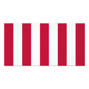 US Sons of Liberty 9 Stripes Flag Foto Afdruk