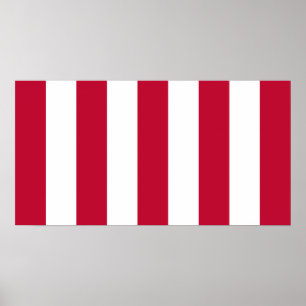 US Sons of Liberty 9 Stripes Flag Poster