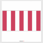 US Sons of Liberty 9 Stripes Flag Sticker (Vel)