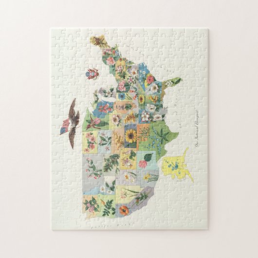  US State Flower Map (1911) Legpuzzel (Verticaal)