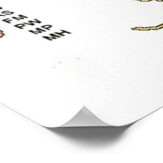 US States Map Poster (Hoek)