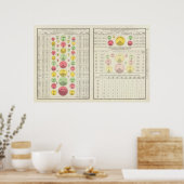 US Urban Population, 1790-1890 Poster (Keuken)