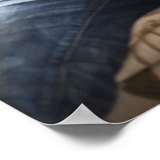 US, Utah, Young man reading Book Poster (Hoek)