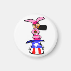 US Verkiezingsnet Magneet