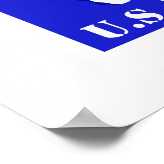 US Veteran Poster (Hoek)