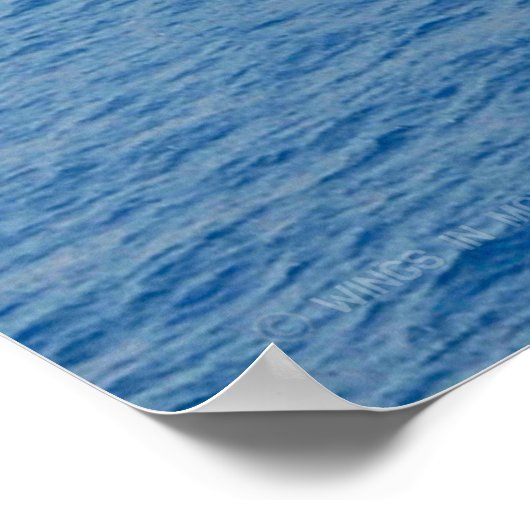 US VLIEGTUIG CARRIER - CVN-69 POSTER (Hoek)