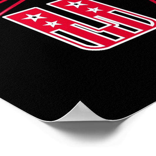 US world cup soccer 2010 Poster Print (Hoek)