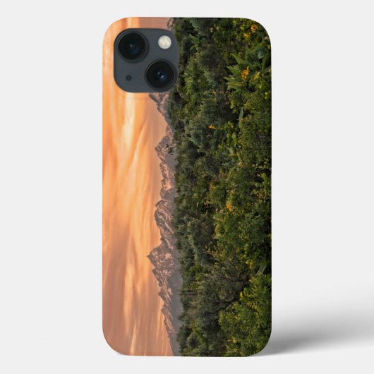 US, Wyoming, Grand Teton National Park 1 Case-Mate iPhone Case (Achterkant)
